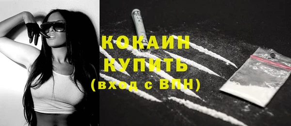 МДПВ Нефтегорск