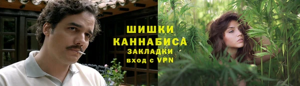 МДПВ Нефтегорск