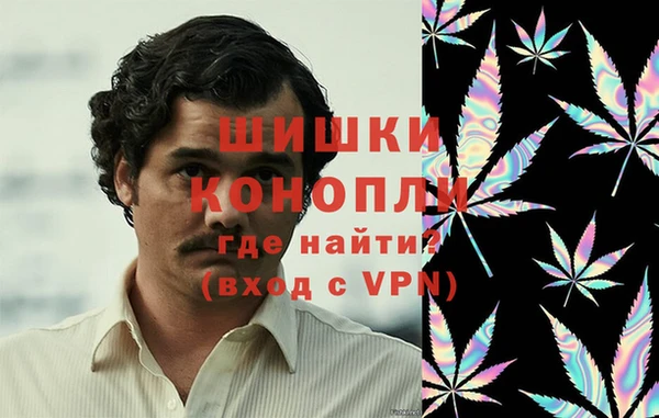 крисы Надым