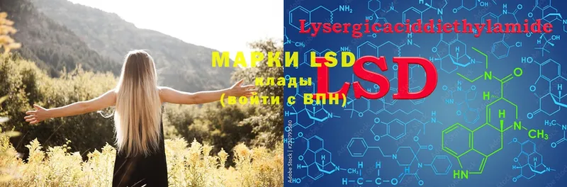 даркнет сайт  Ленинск  LSD-25 экстази ecstasy 