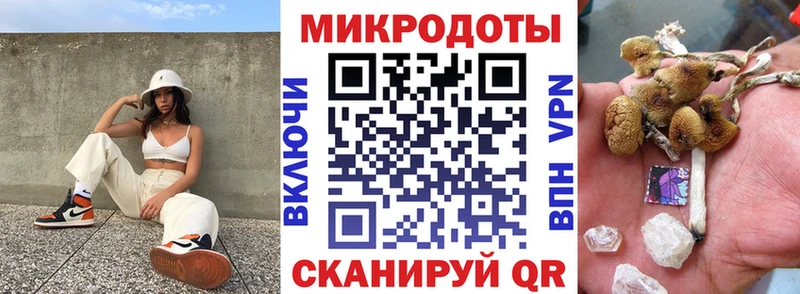 мега маркетплейс  Ленинск  Псилоцибиновые грибы GOLDEN TEACHER 