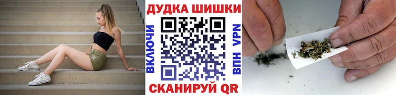 Конопля гибрид  Ленинск 